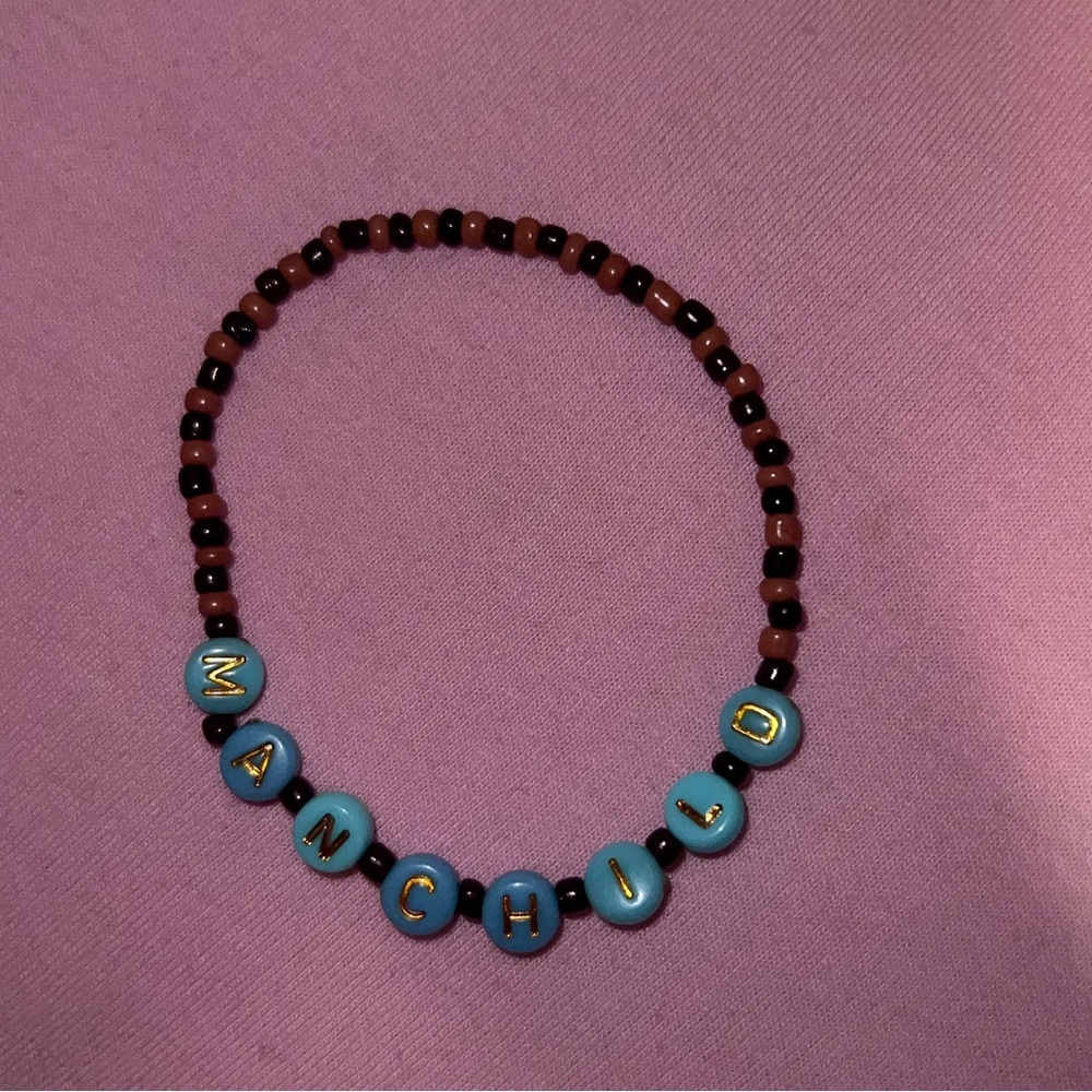Sabrina Carpenter Friendship Bracelet